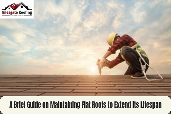 A Brief Guide on Maintaining Flat Roofs to Extend its Lifespan