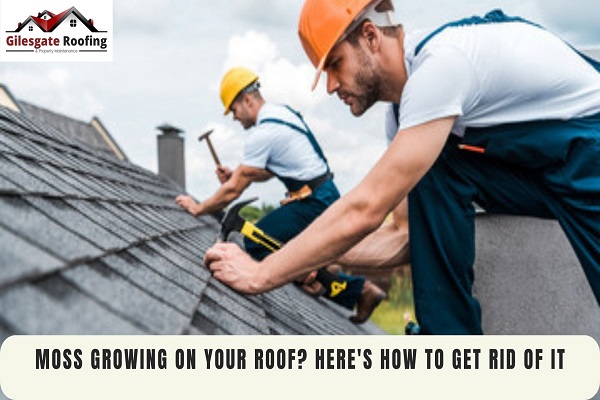 Moss Growing On Your Roof? Here’s How To Get Rid of It